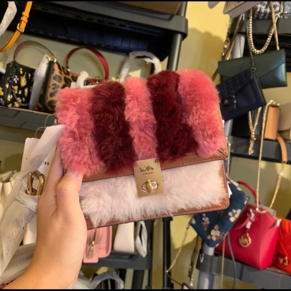 Coach mini hutton purse